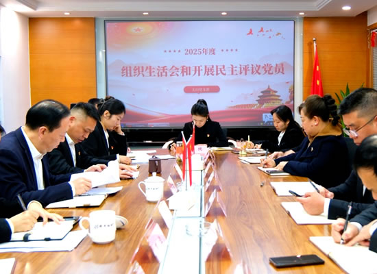 太白党支部召开2025年度组织生活会